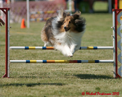 The Agility Connection 05752 copy.jpg