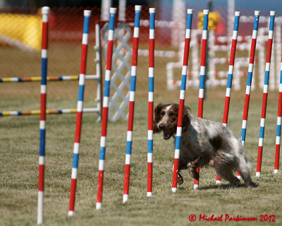 The Agility Connection 05764 copy.jpg