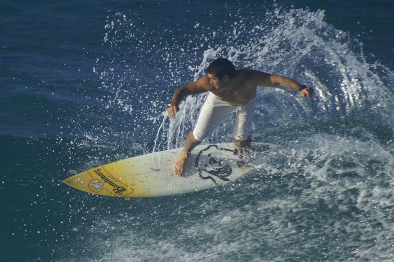 Burleigh Heads-Bundi Bear