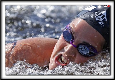 LAC MGANTIC, Canada  /    COUPE DU MONDE DE MARATHON DE 10 KM FINA  2011  /  WORLD CUP 10K FINA MARATHON 2011