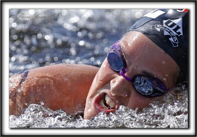 NAGEURS DU 10km DE LA COUPE DU MONDE FINA 2011  /  SWIMMERS OF FINA 10km WORLD CUP 2011