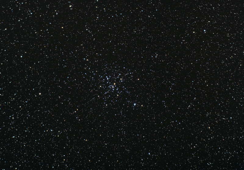 M 41