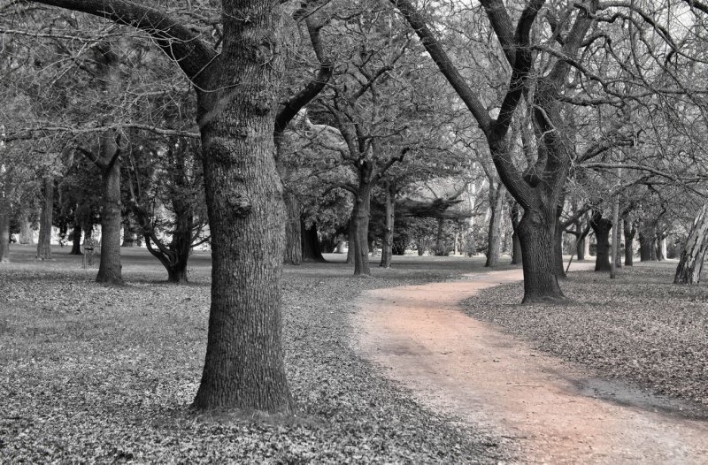 Castlemaine botanical gardens 25.jpg