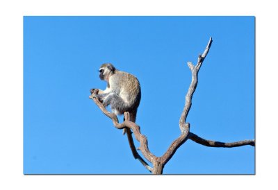 Werribee Zoo 12.jpg