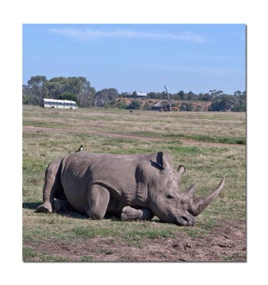 Werribee Zoo 26.jpg