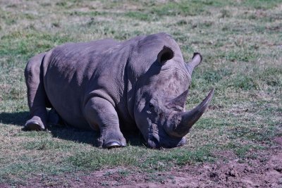 Werribee Zoo 3.jpg