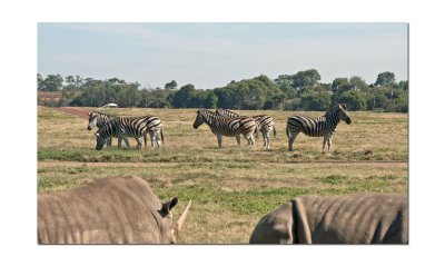 Werribee Zoo 52.jpg