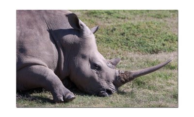 Werribee Zoo 94.jpg