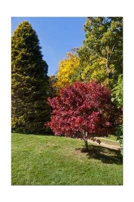 Duneira gardens 3.jpg