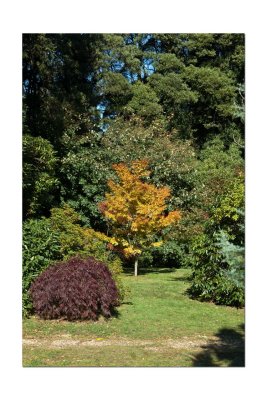 Duneira gardens 2.jpg