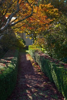 Duneira gardens 5.jpg