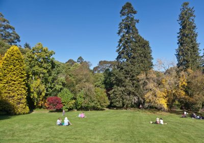 Duneira gardens 4.jpg
