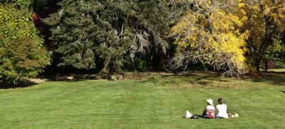 Duneira gardens 37.jpg