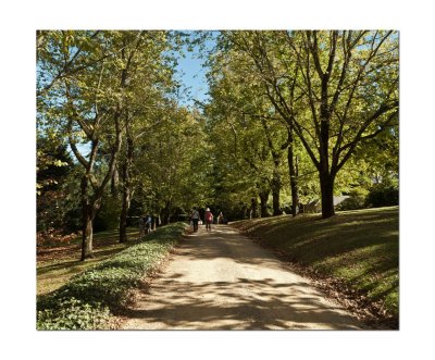 Duneira gardens 28.jpg