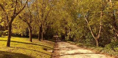 Duneira gardens 27.jpg