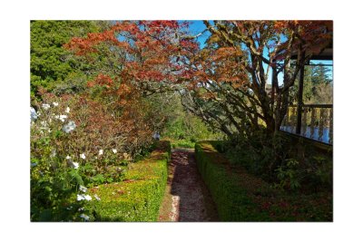 Duneira gardens 22.jpg