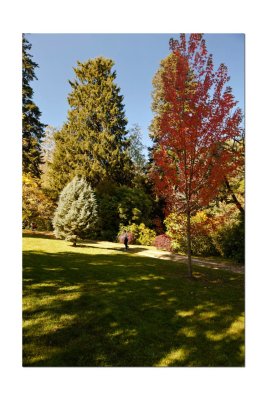 Duneira gardens 39.jpg