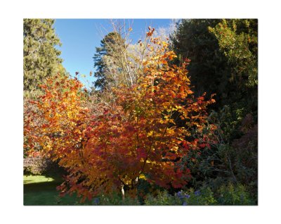 Duneira gardens 31.jpg
