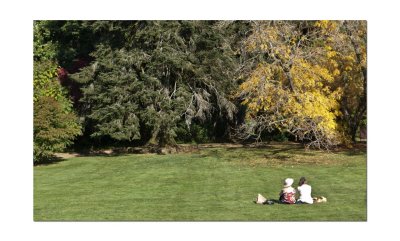 Duneira gardens 36.jpg