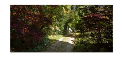 Duneira gardens 44.jpg