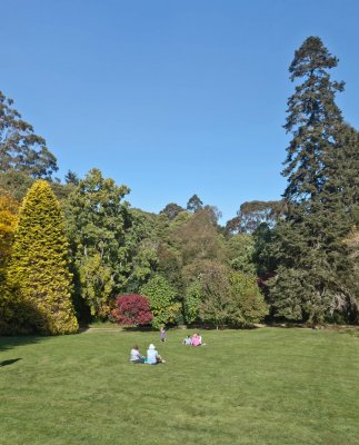Duneira gardens 53.jpg