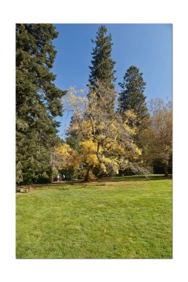 Duneira gardens 41.jpg