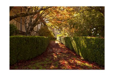Duneira gardens 45.jpg