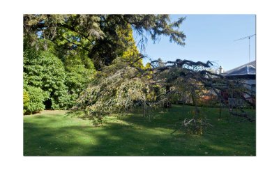 Duneira gardens 54.jpg
