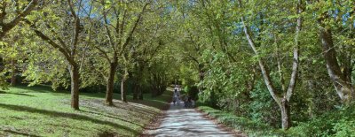 Duneira gardens 61.jpg