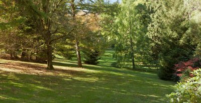 Duneira gardens 72.jpg