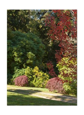 Duneira gardens 67.jpg
