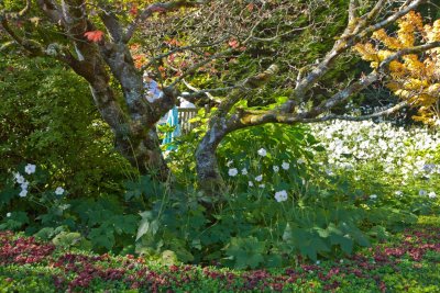 Duneira gardens 68.jpg