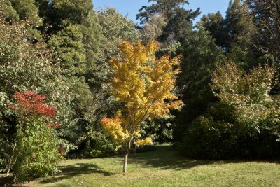 Duneira gardens 65.jpg