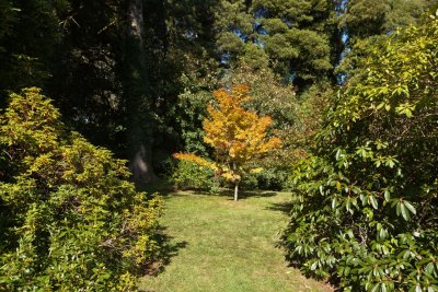 Duneira gardens 64.jpg