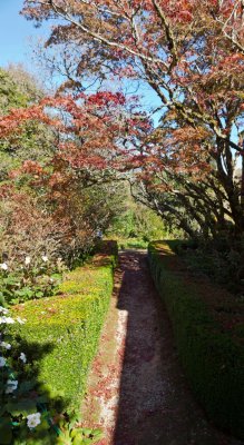 Duneira gardens 77.jpg