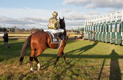 Horse Anzac day race 22.jpg