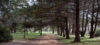 Castlemaine botanical gardens 26.jpg