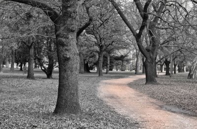 Castlemaine botanical gardens 25.jpg