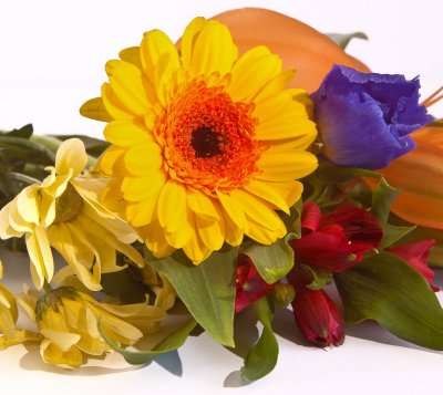 Flower bunch 3.jpg