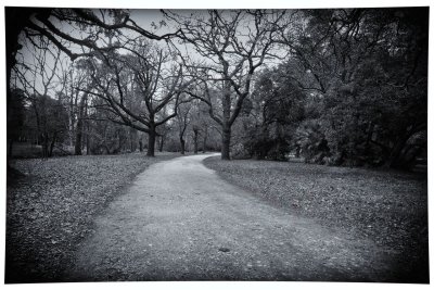 Castlemaine gardens black and white.jpg