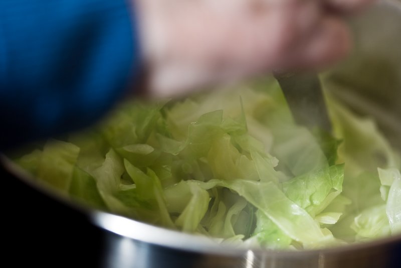 20080126 - Cabbage Action Shot!