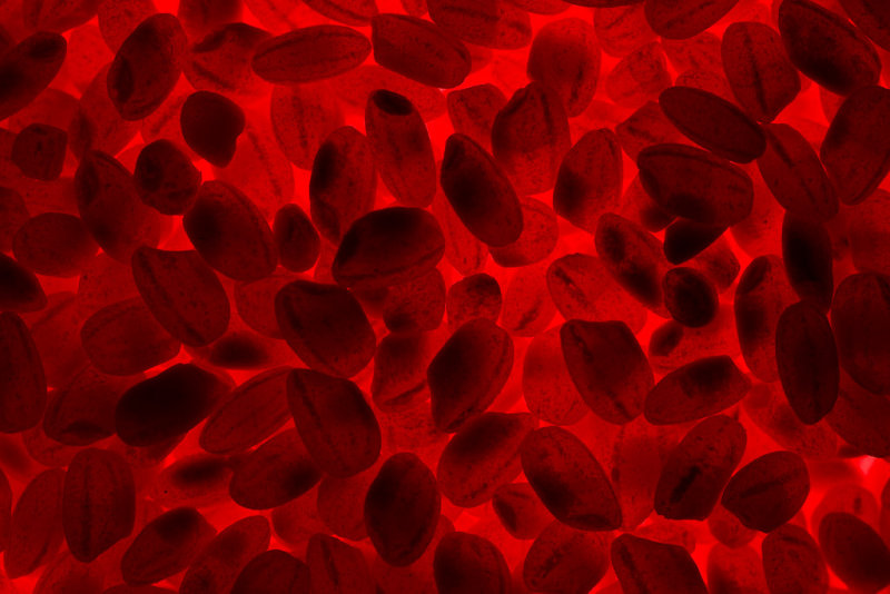 20080128 - Hot Coals