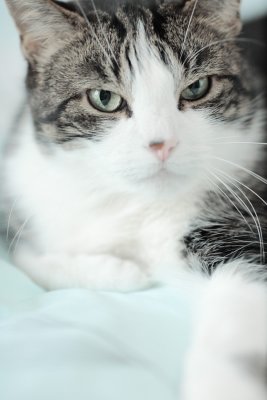 20110403 - Mister Grumpy