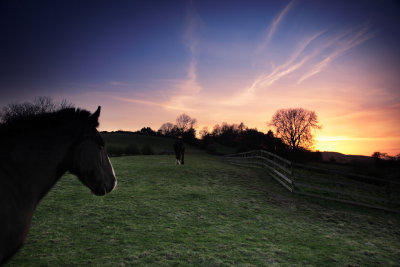 20110408 - Watching the Sunset