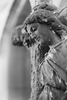 20110613 - Stone-Faced