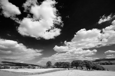 20110702 - Trees and Fields and Clouds
