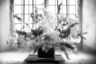 20110716 - Not Just a Window Display
