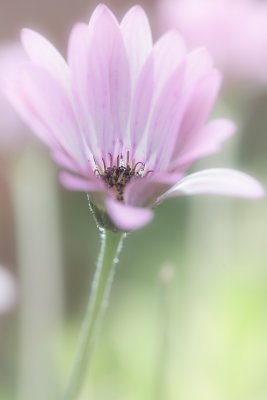 20110719 - Sleepy