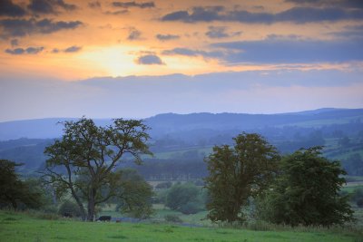 20110730 - Quiet Little Sunset