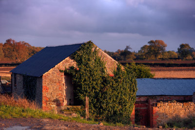 20110921 - Barn